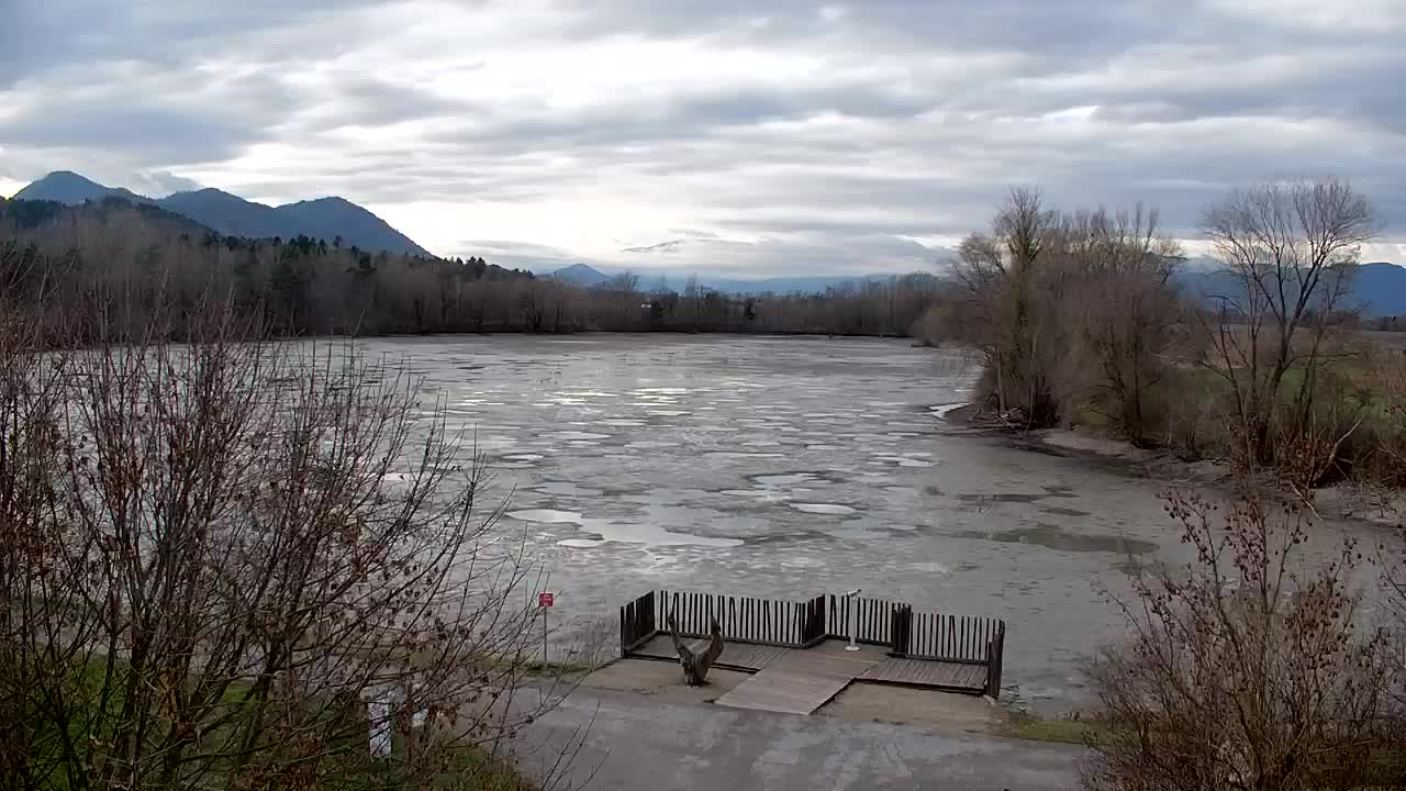 Webcam Ribnik Vrbje – Žalec