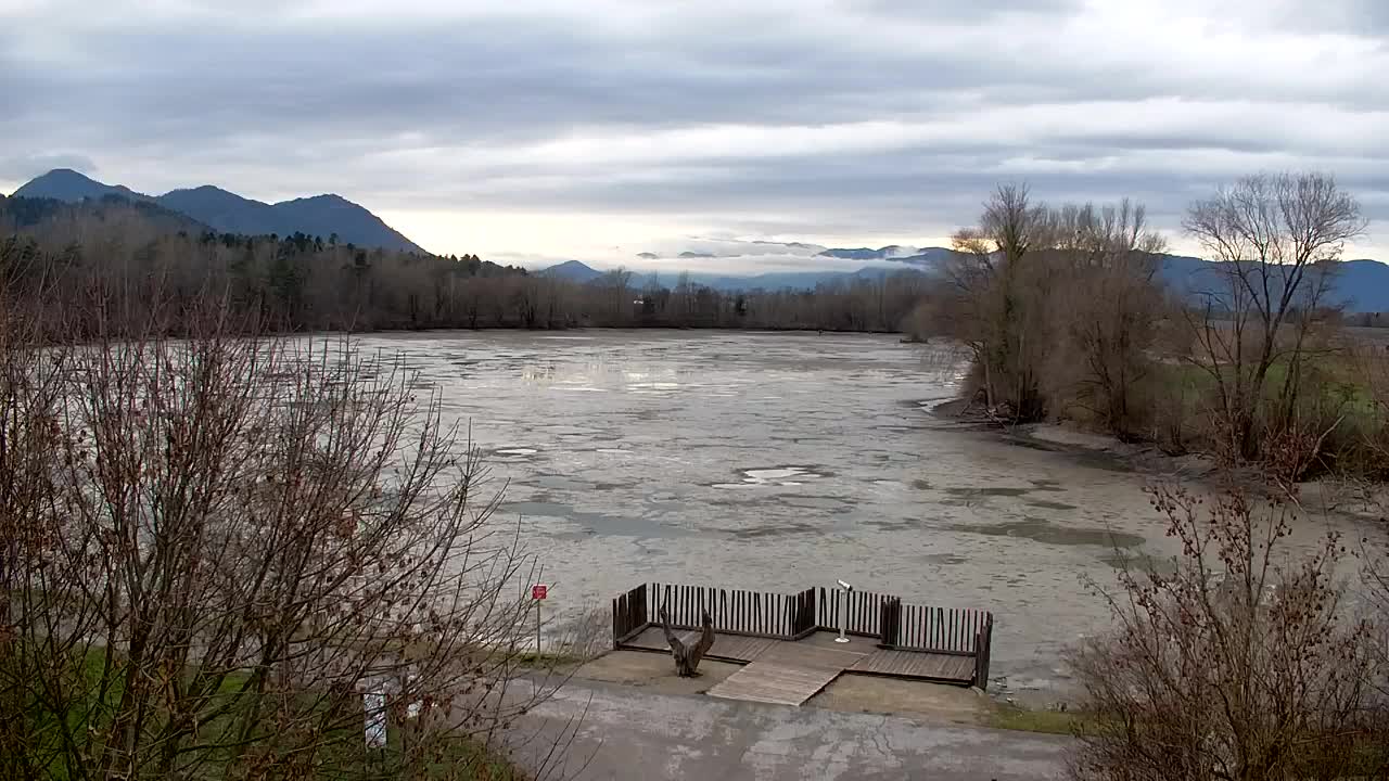 Webcam Ribnik Vrbje – Žalec