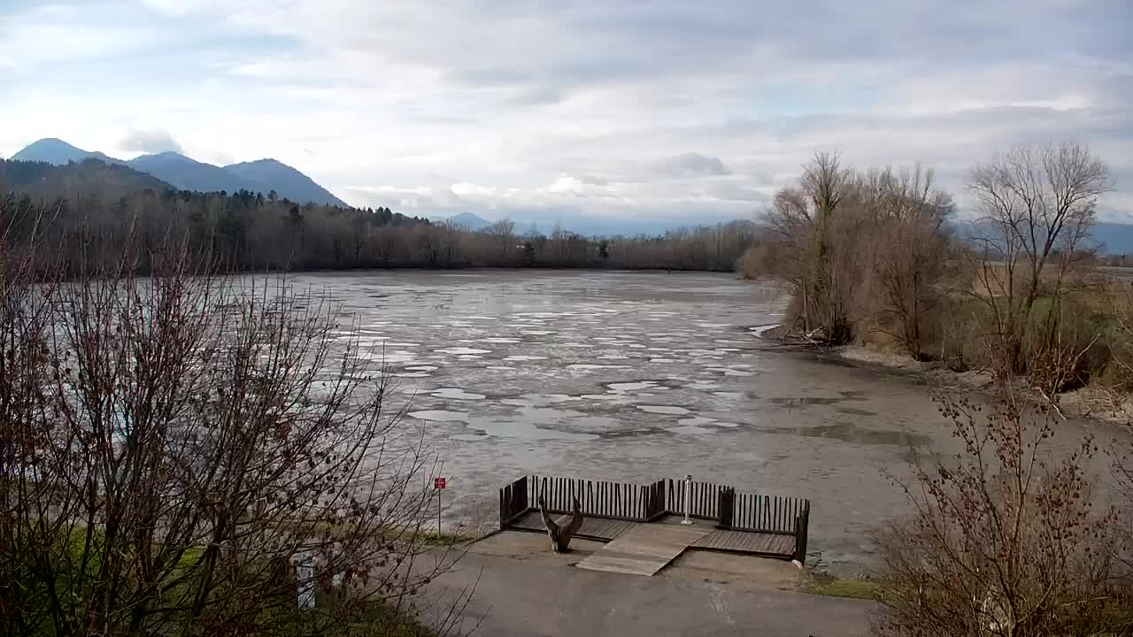 Webcam Ribnik Vrbje – Žalec