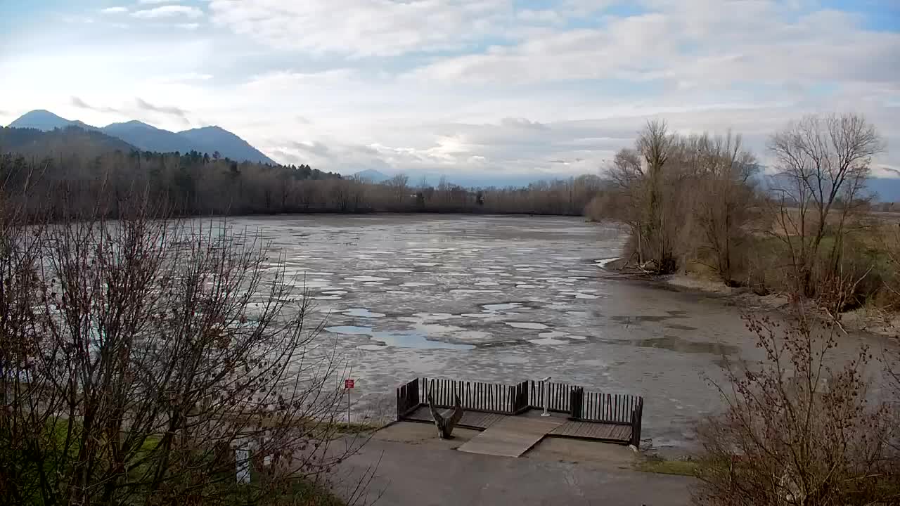 Webcam Ribnik Vrbje – Žalec