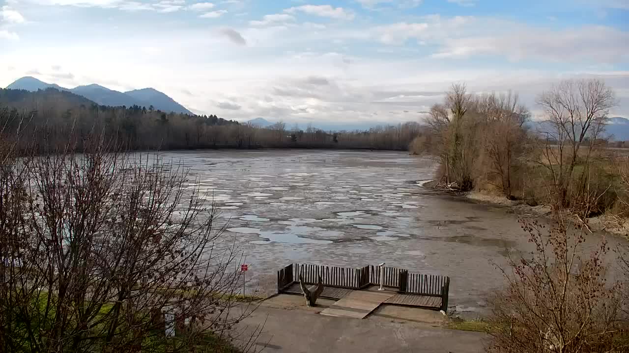 Spletna kamera Ribnik Vrbje – Žalec