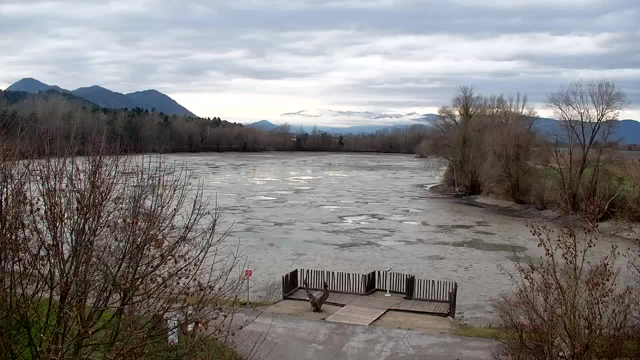 Webcam Ribnik Vrbje – Žalec