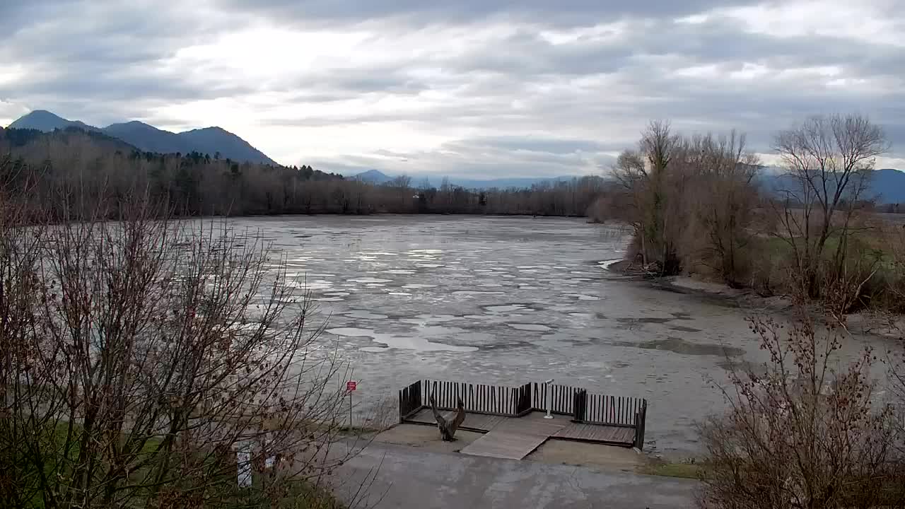 Webcam Ribnik Vrbje – Žalec