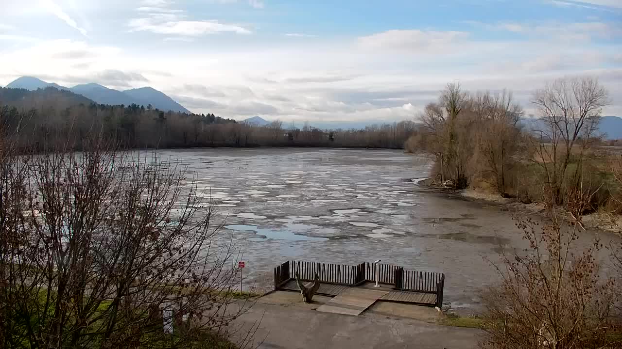 Webcam Ribnik Vrbje – Žalec