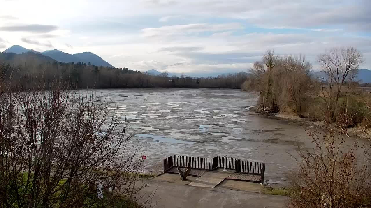 Webcam Ribnik Vrbje – Žalec