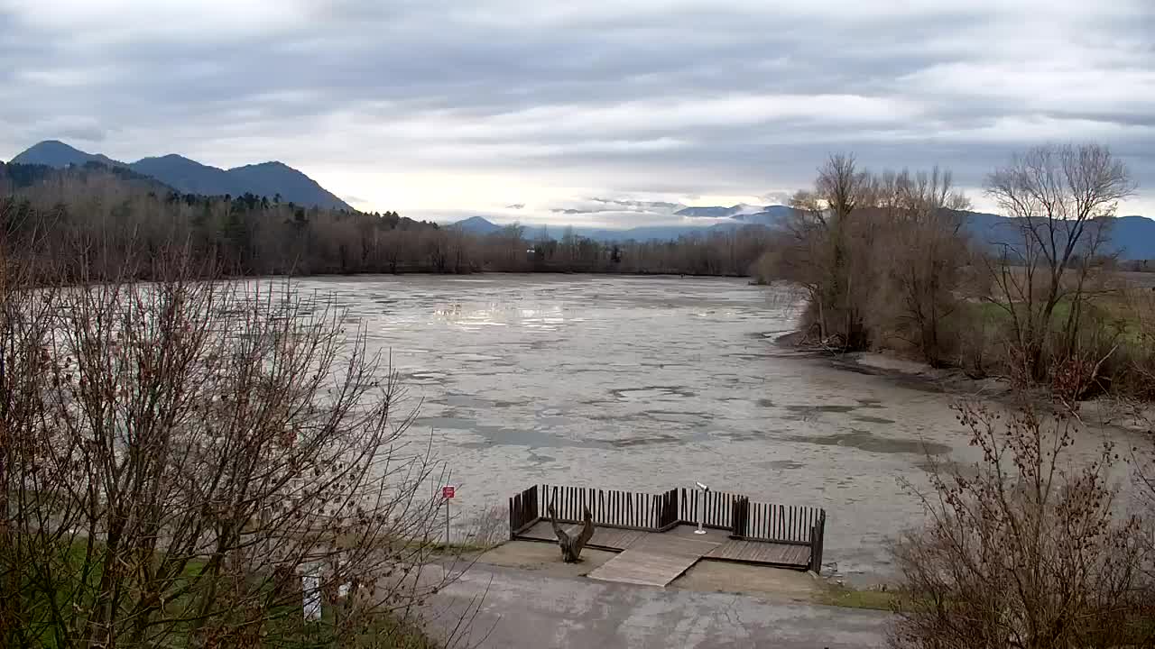 Spletna kamera Ribnik Vrbje – Žalec