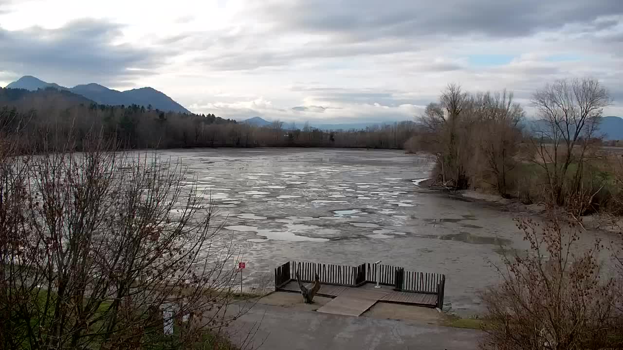 Webcam Ribnik Vrbje – Žalec