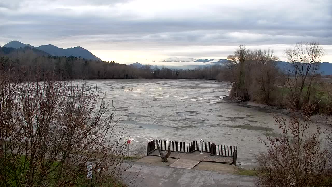 Webcam Ribnik Vrbje – Žalec