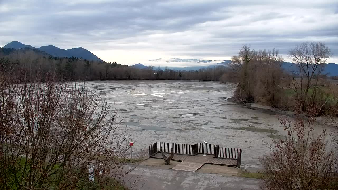 Webcam Ribnik Vrbje – Žalec