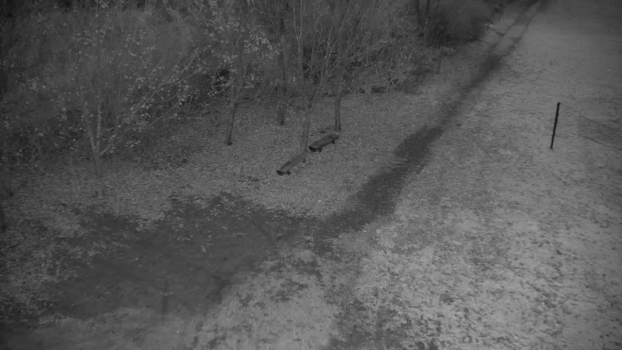 Webcam Ribnik Vrbje – Žalec