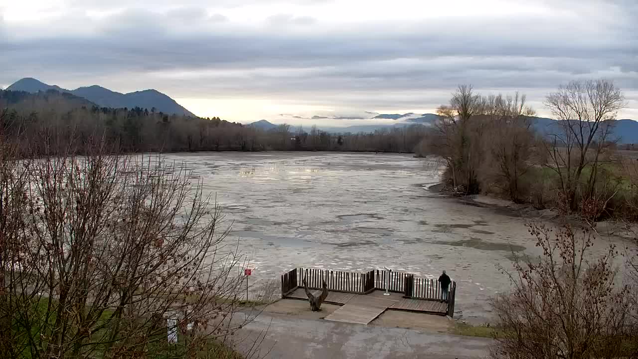 Webcam Ribnik Vrbje – Žalec