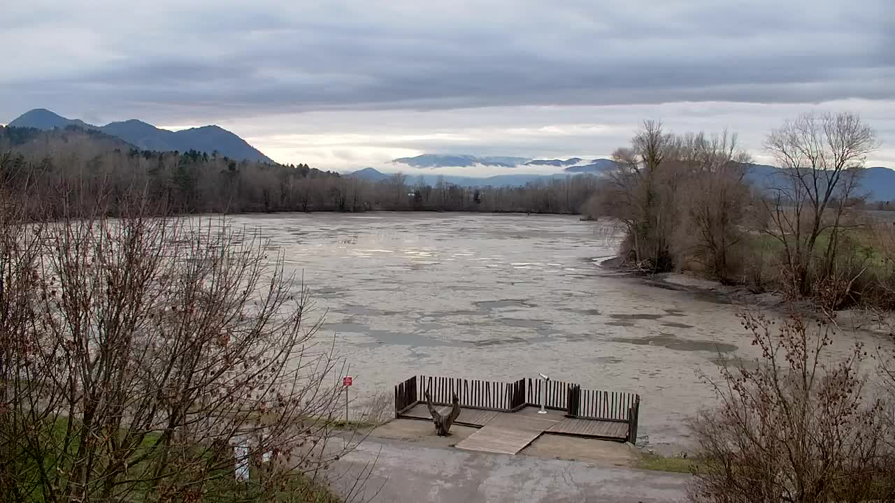 Webcam Ribnik Vrbje – Žalec