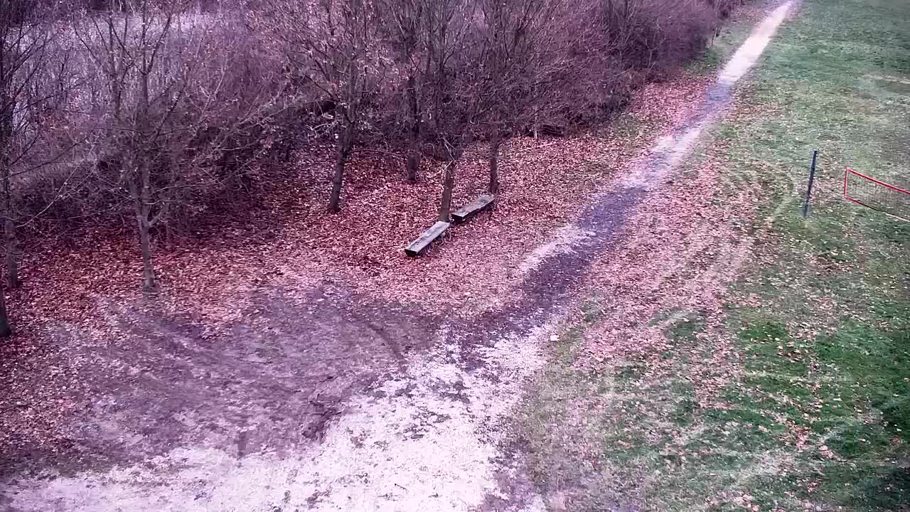 Web kamera Ribnik Vrbje – Žalec