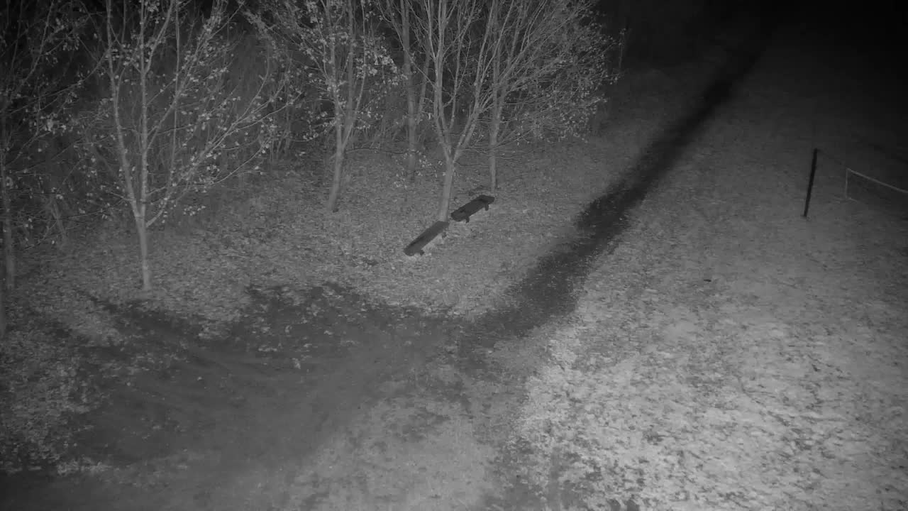 Webcam Ribnik Vrbje – Žalec