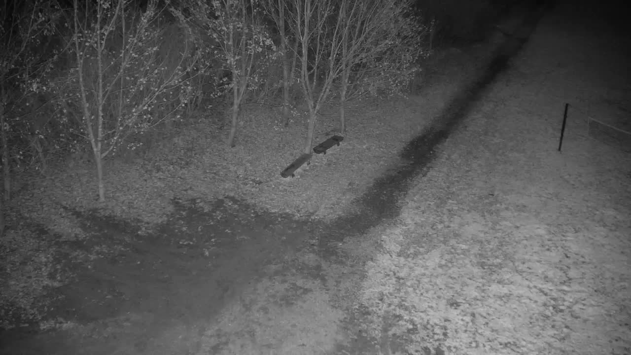 Webcam Ribnik Vrbje – Žalec