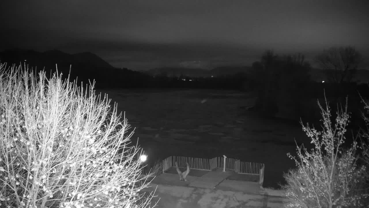 Webcam Ribnik Vrbje – Žalec