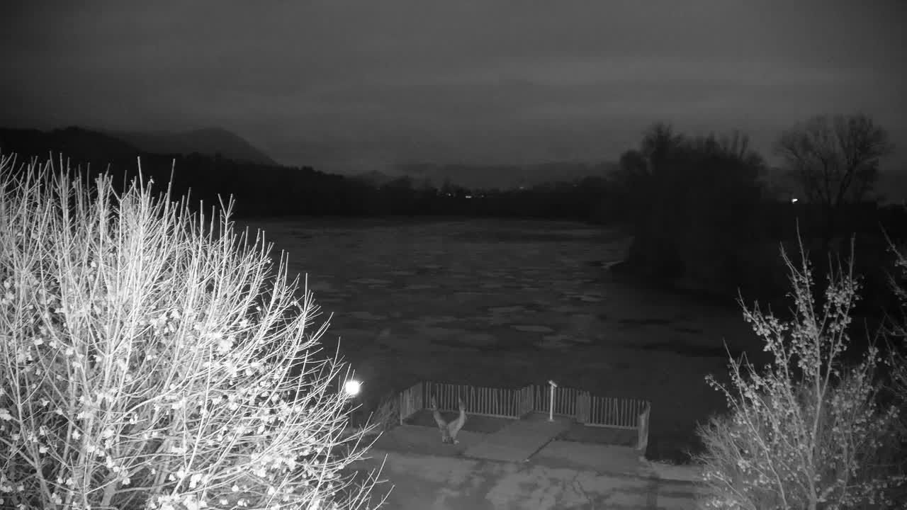 Webcam Ribnik Vrbje – Žalec