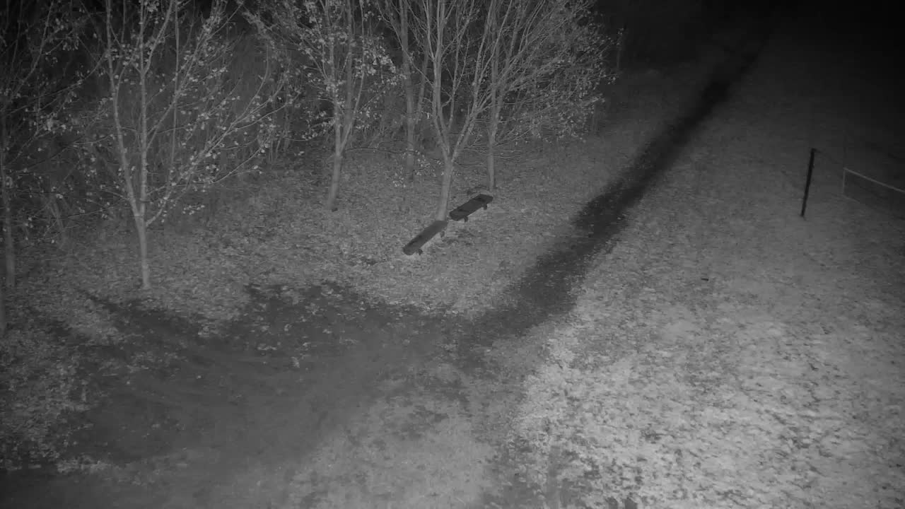 Webcam Ribnik Vrbje – Žalec