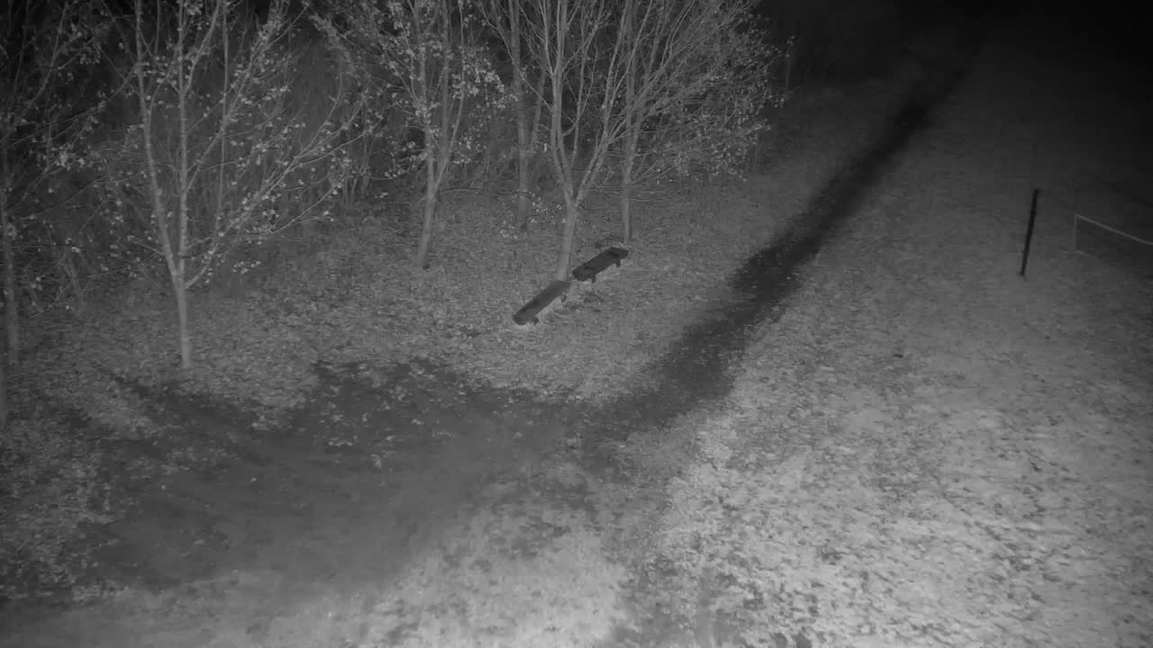 Webcam Ribnik Vrbje – Žalec