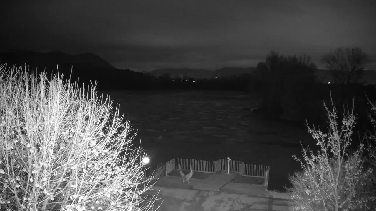 Webcam Ribnik Vrbje – Žalec