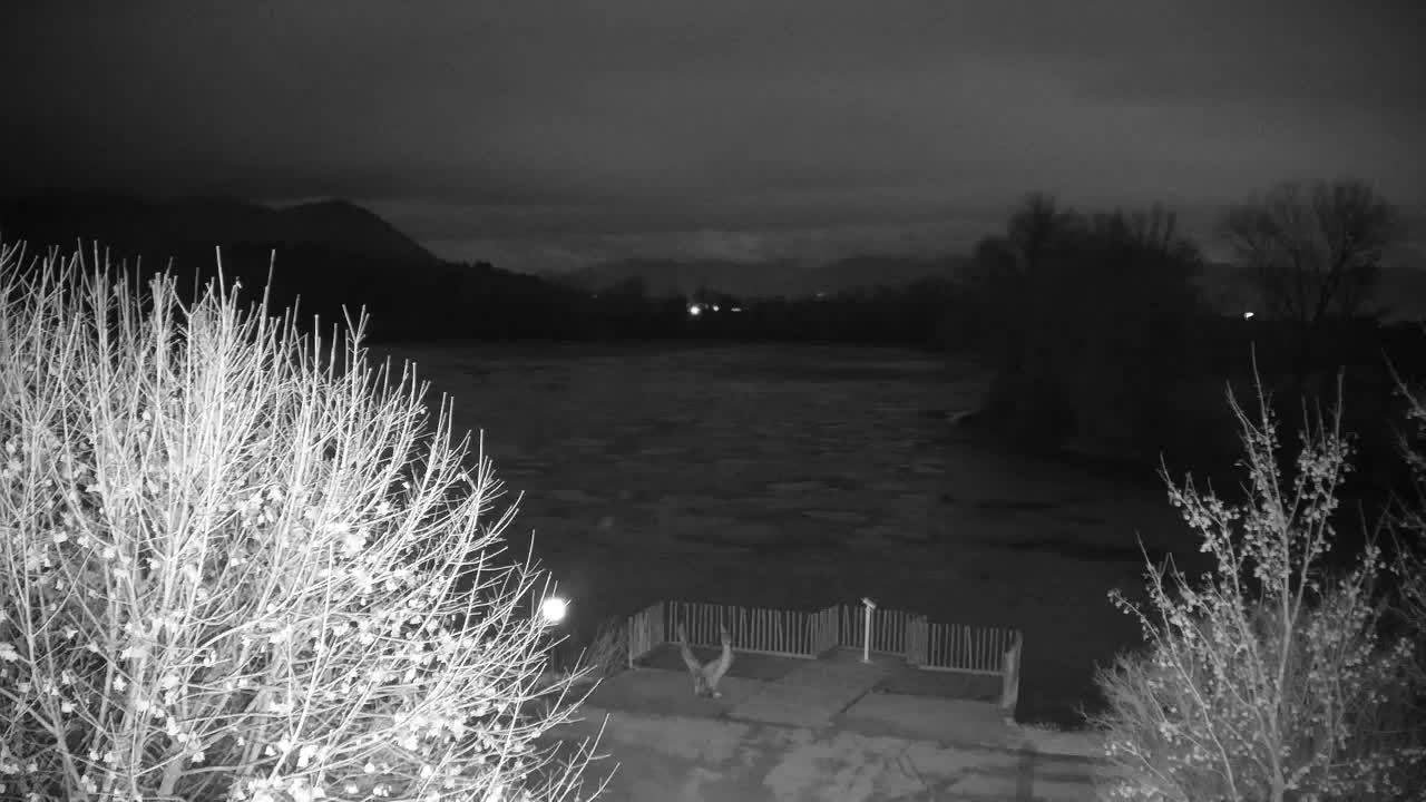 Webcam Ribnik Vrbje – Žalec