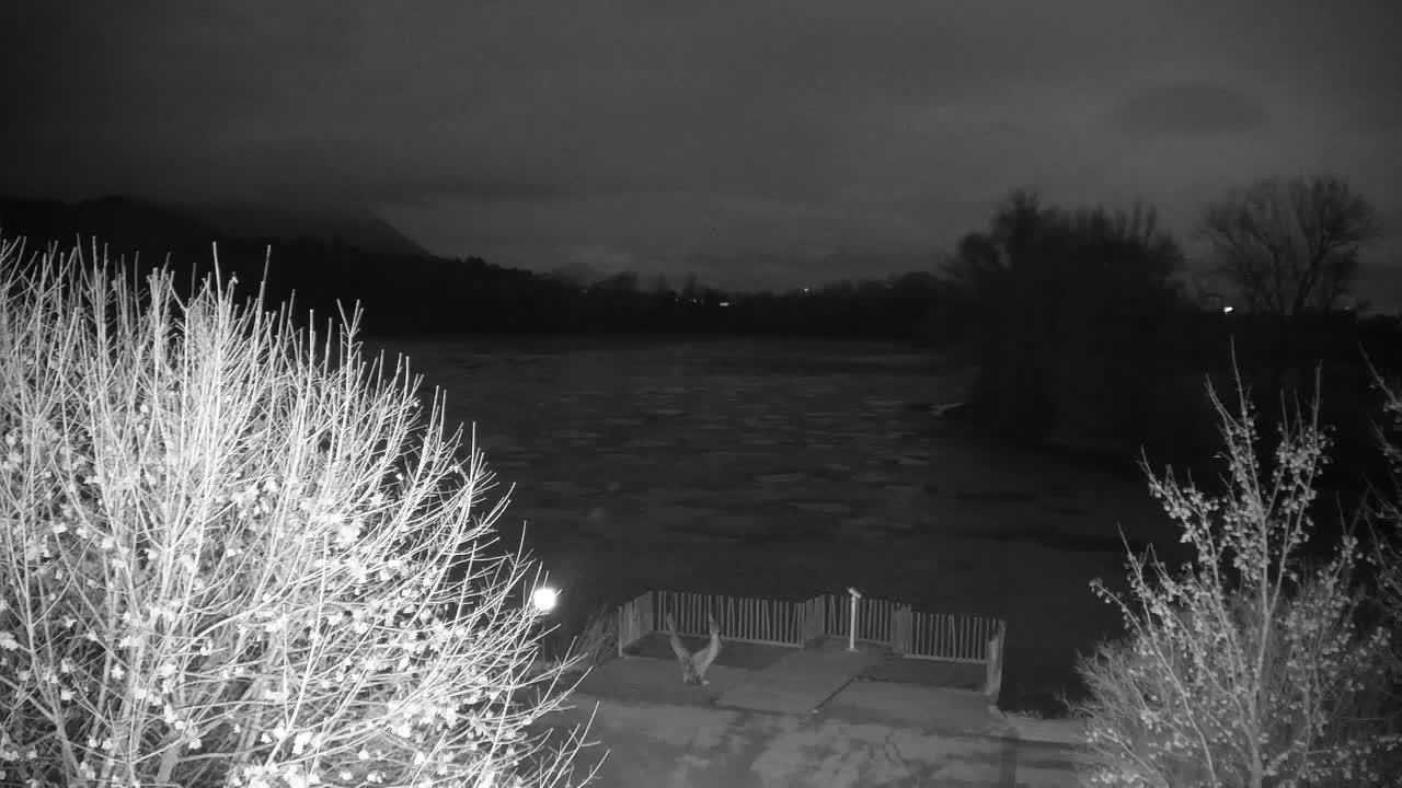 Webcam Ribnik Vrbje – Žalec