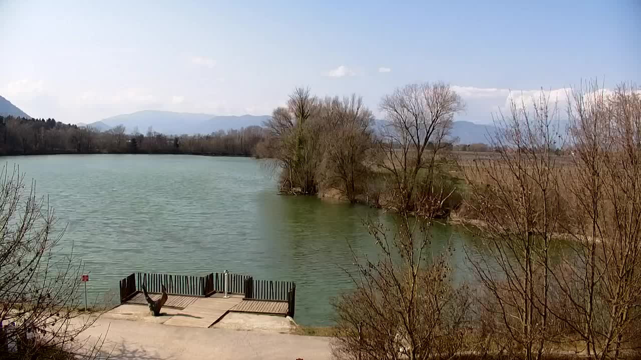 Webcam Ribnik Vrbje – Žalec