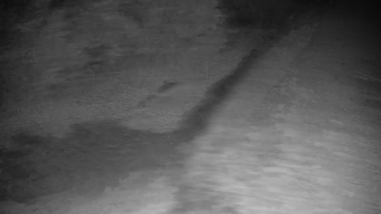 Webcam Ribnik Vrbje – Žalec