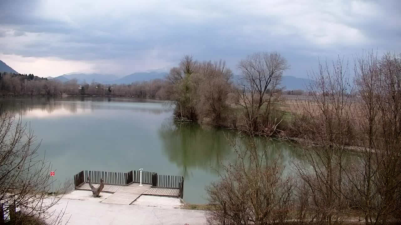 Webcam Ribnik Vrbje – Žalec
