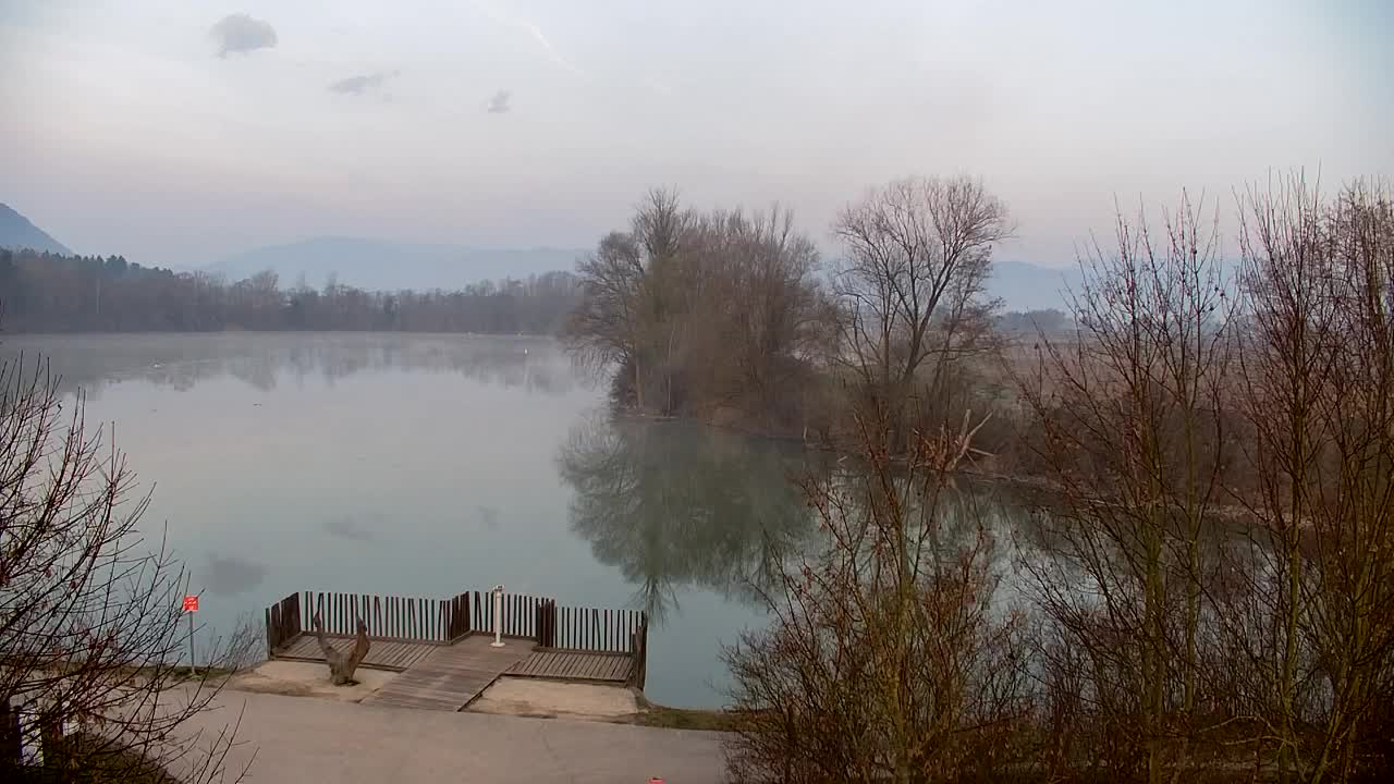 Webcam Ribnik Vrbje – Žalec