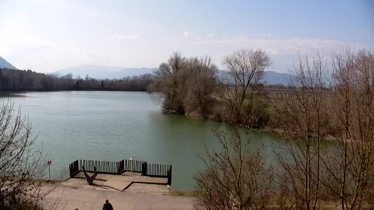 Webcam Ribnik Vrbje – Žalec