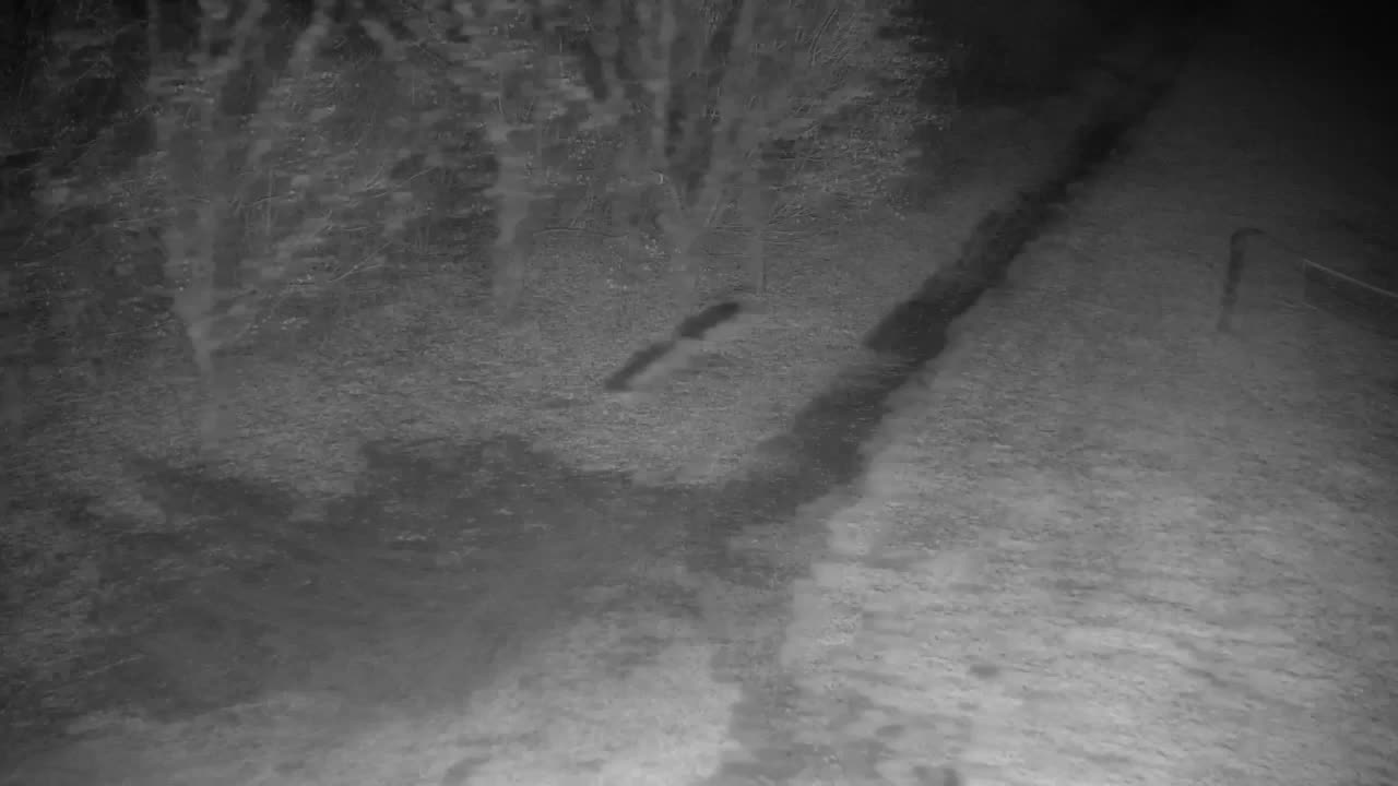 Webcam Ribnik Vrbje – Žalec