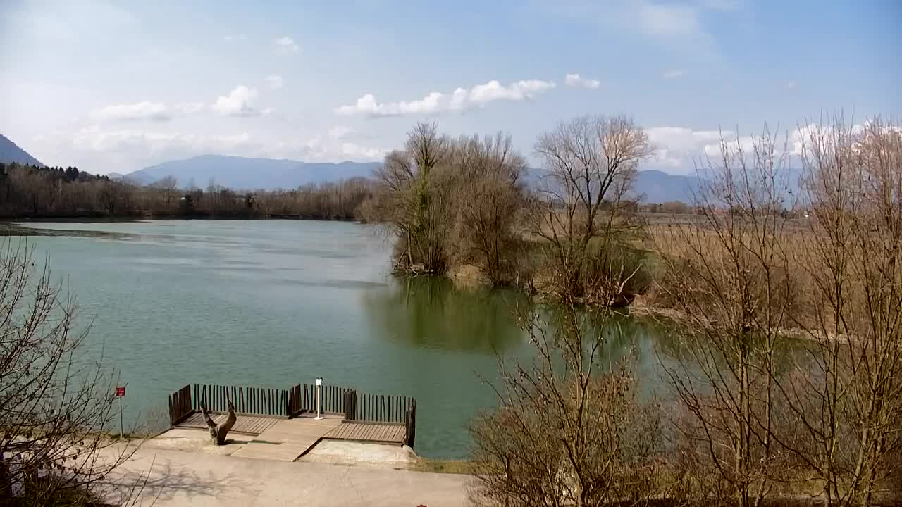 Web kamera Ribnik Vrbje – Žalec