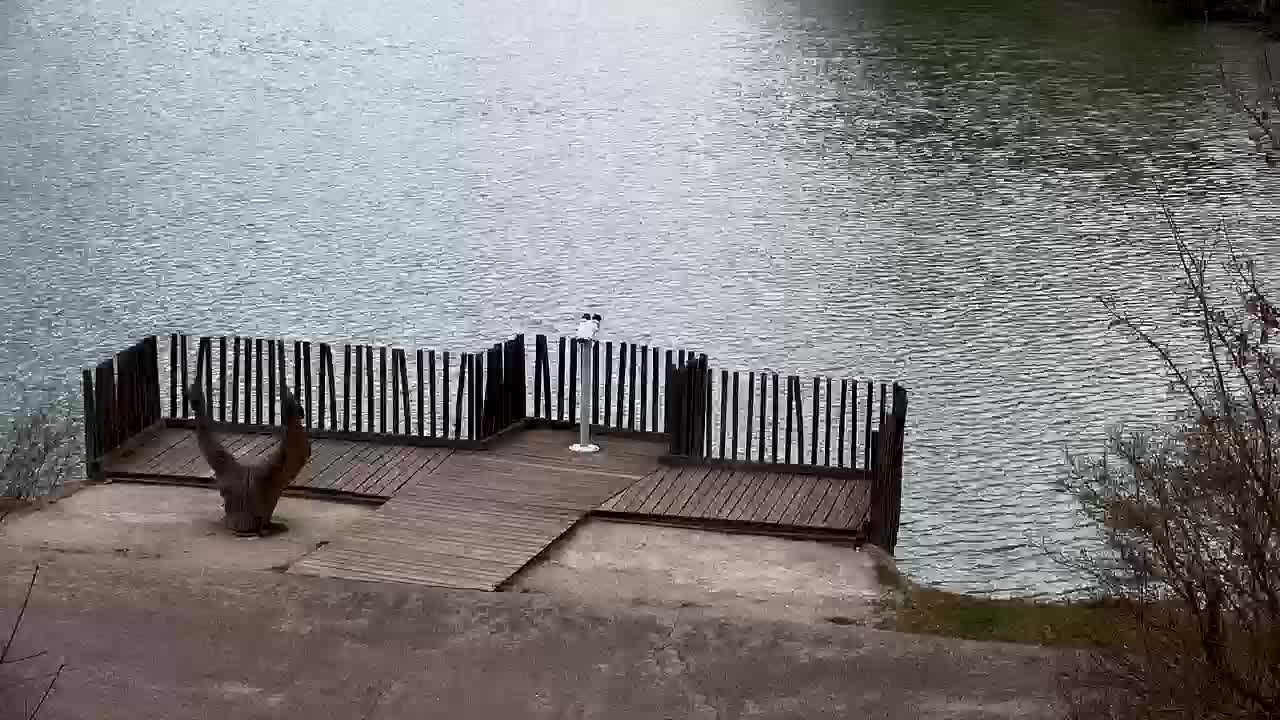 Webcam Ribnik Vrbje – Žalec