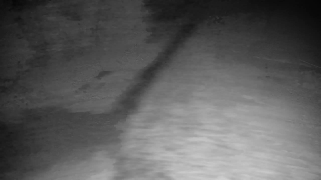 Webcam Ribnik Vrbje – Žalec