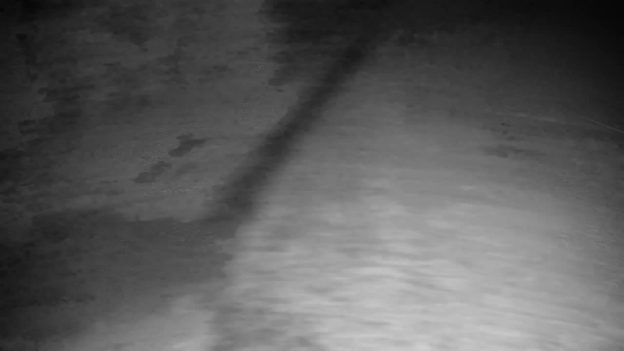 Webcam Ribnik Vrbje – Žalec