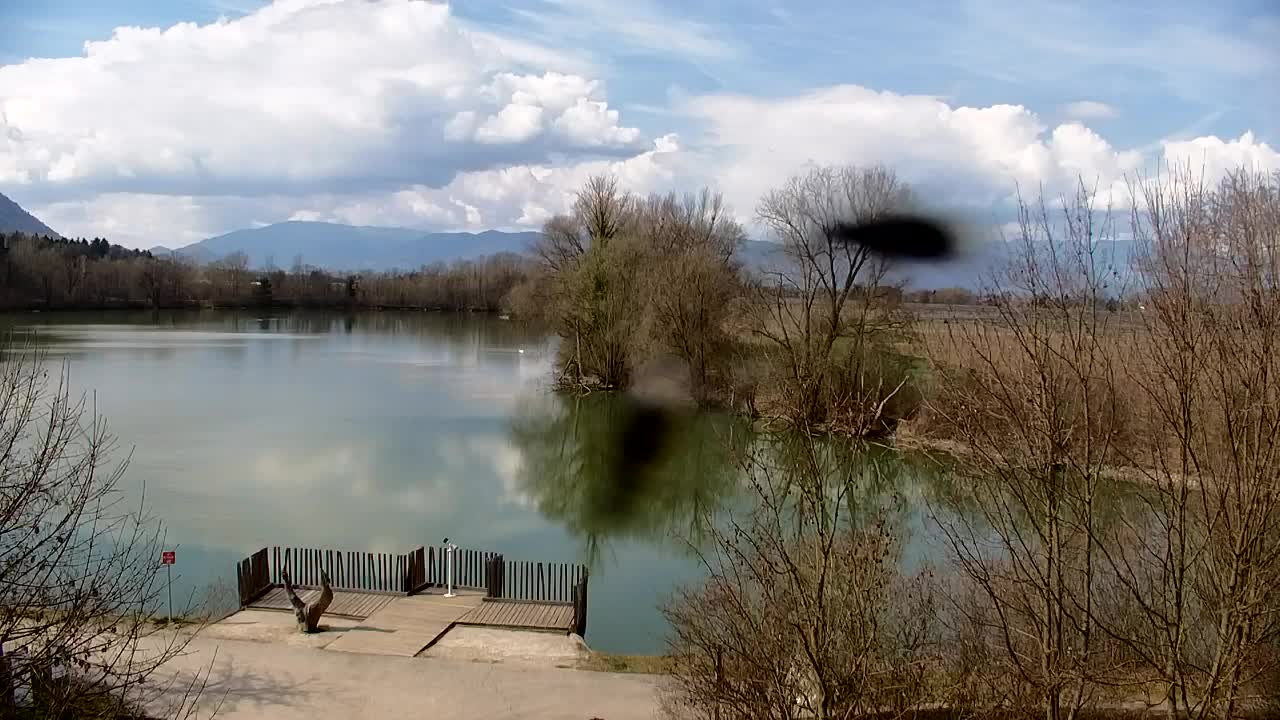 Webcam Ribnik Vrbje – Žalec