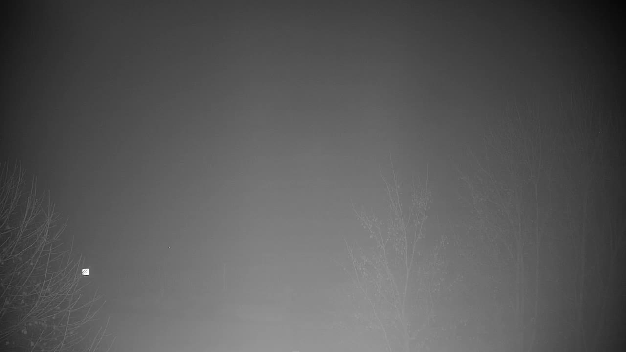 Webcam Ribnik Vrbje – Žalec