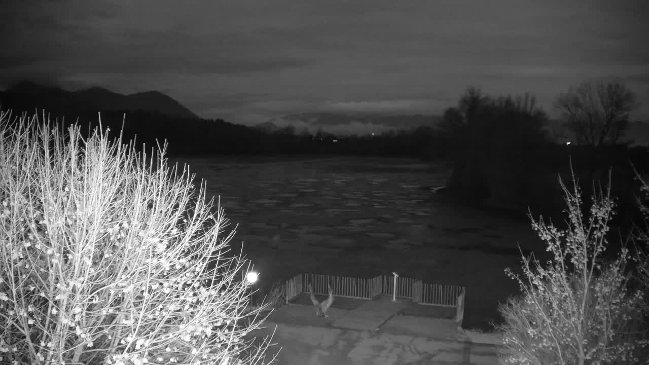 Webcam Ribnik Vrbje – Žalec