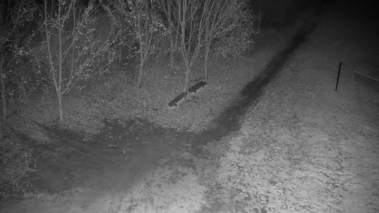 Webcam Ribnik Vrbje – Žalec