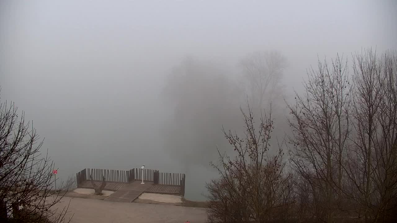 Webcam Ribnik Vrbje – Žalec