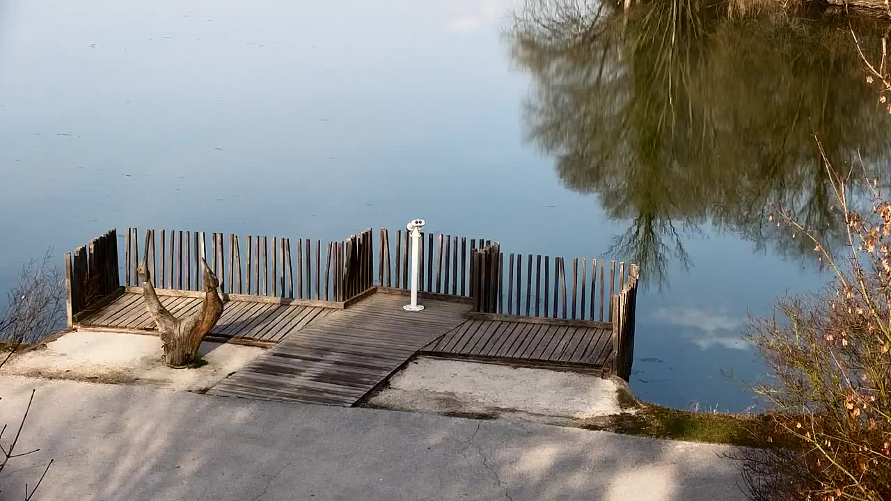 Webcam Ribnik Vrbje – Žalec