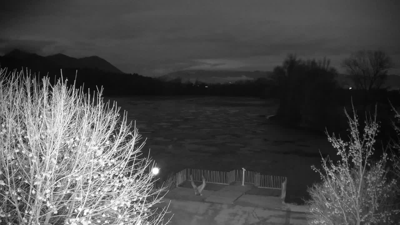 Webcam Ribnik Vrbje – Žalec