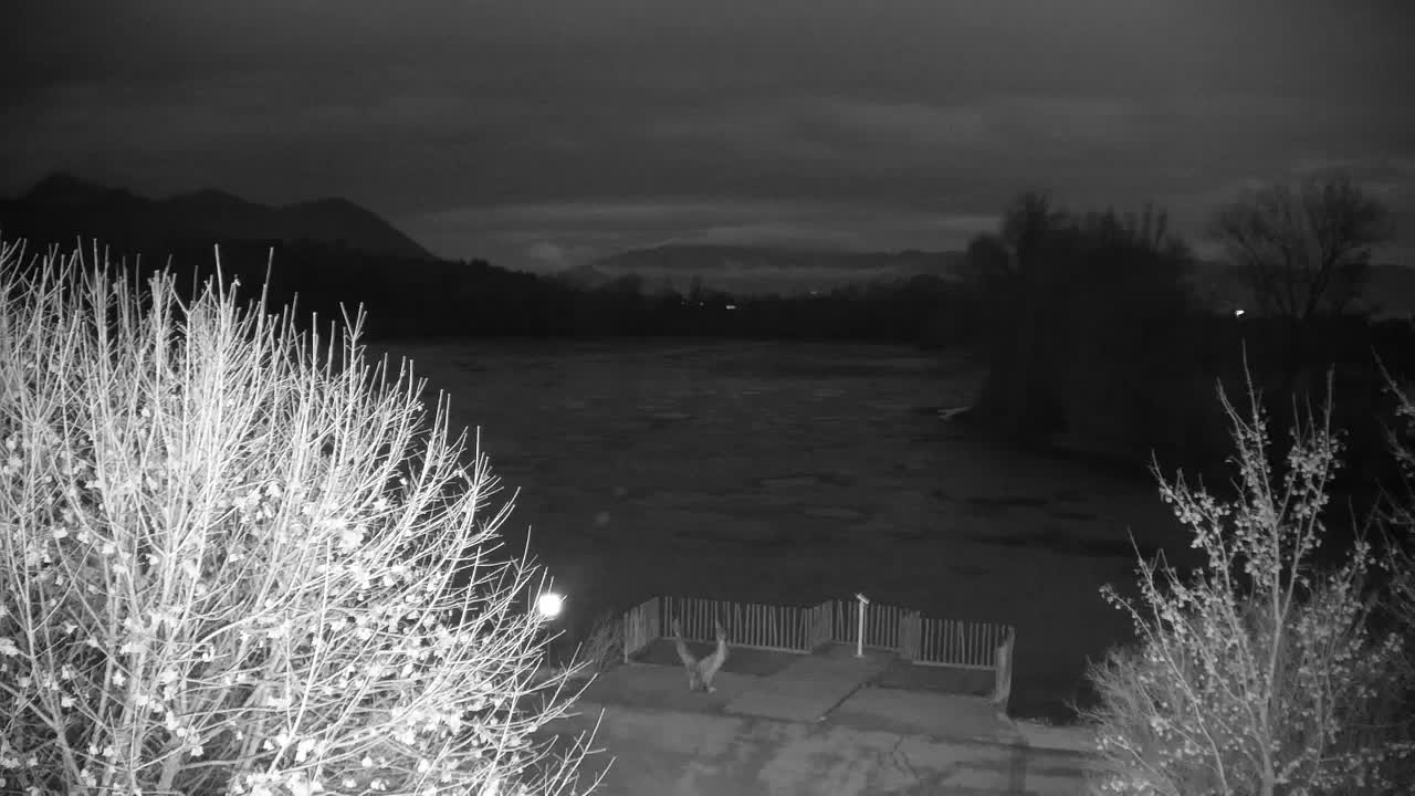 Webcam Ribnik Vrbje – Žalec