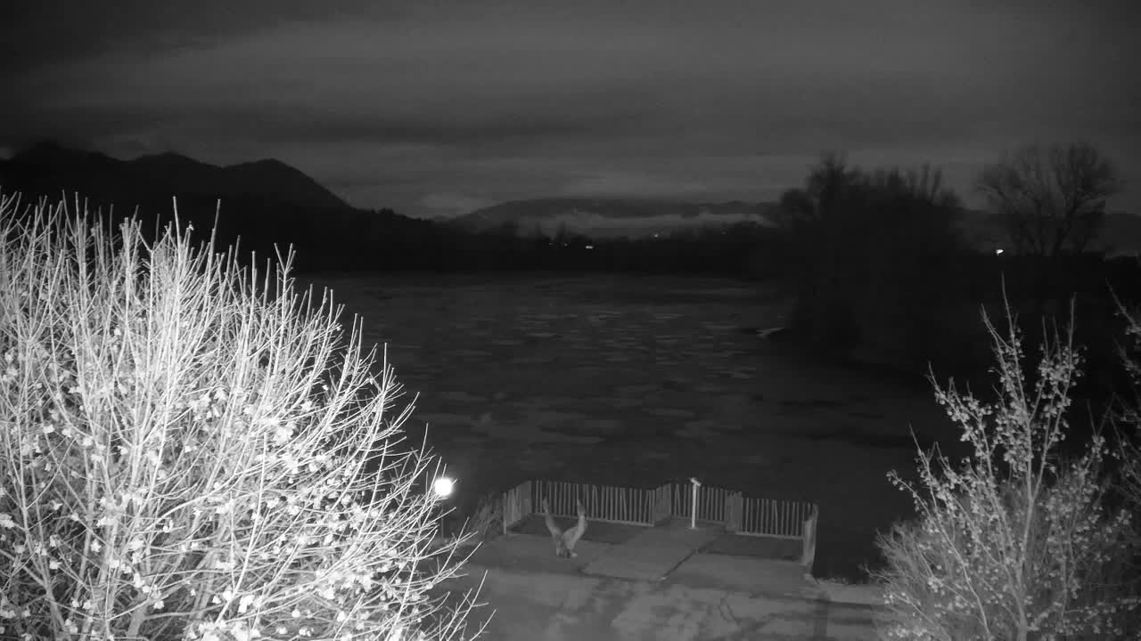 Webcam Ribnik Vrbje – Žalec