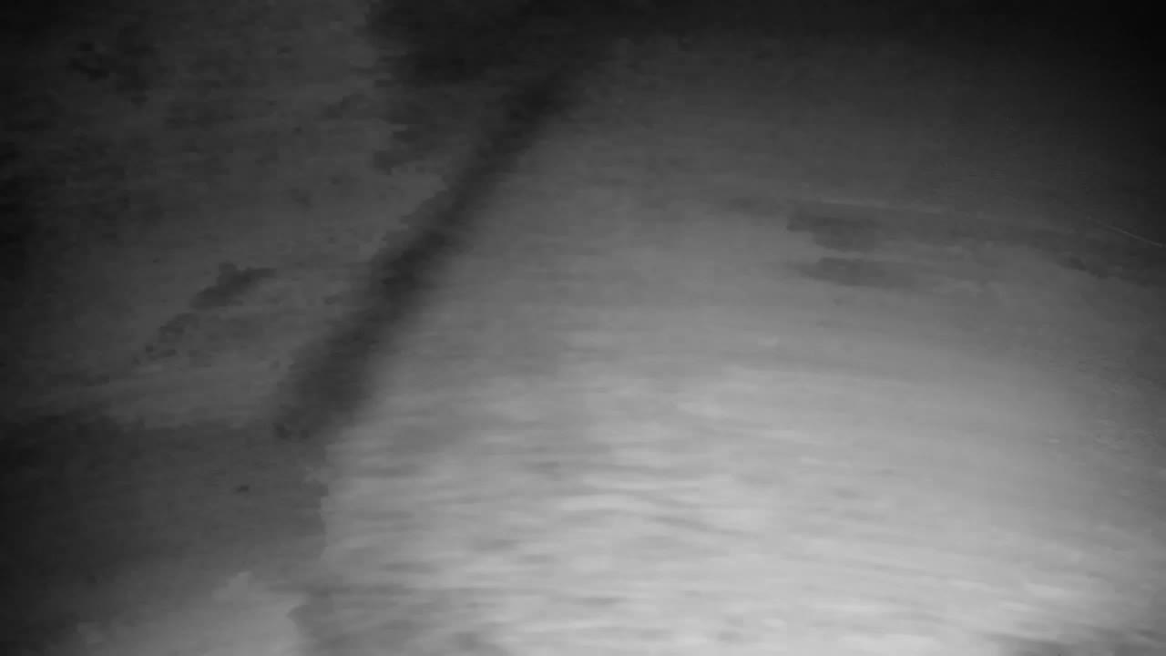 Webcam Ribnik Vrbje – Žalec