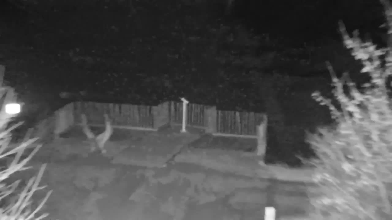 Spletna kamera Ribnik Vrbje – Žalec