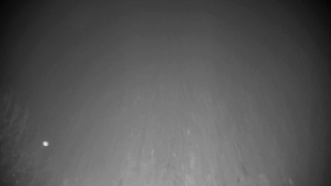 Webcam Ribnik Vrbje – Žalec