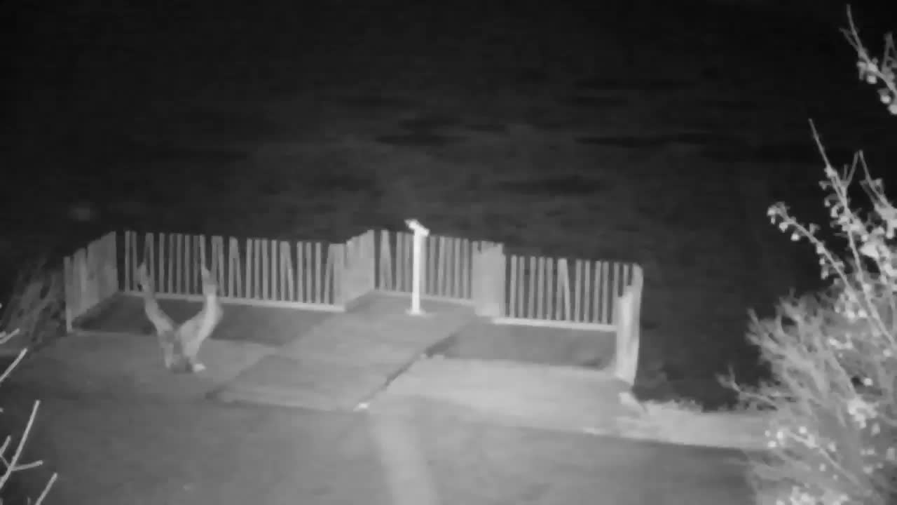 Webcam Ribnik Vrbje – Žalec