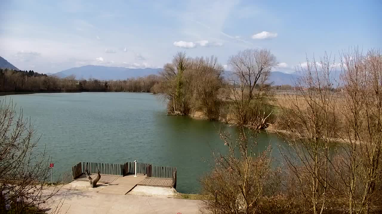 Webcam Ribnik Vrbje – Žalec